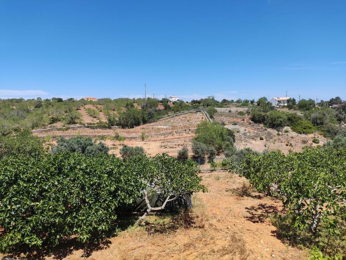 Casa Azul Leilighet Albufeira Eksteriør bilde